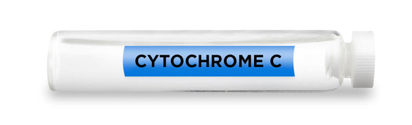 CellCore Biosciences - CYTOCHROME C -Vial