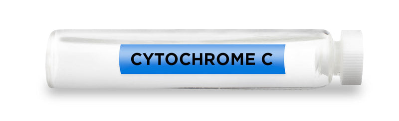 CellCore Biosciences - CYTOCHROME C -Vial