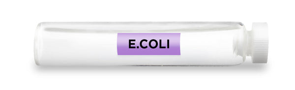 CellCore Biosciences - E.COLI -Vial