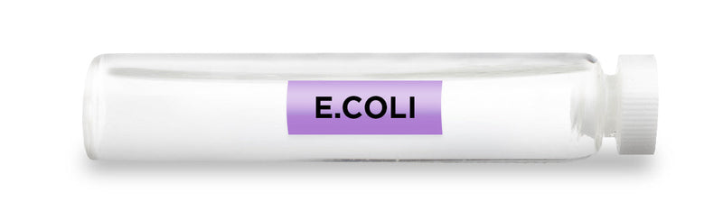 CellCore Biosciences - E.COLI -Vial