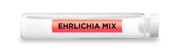 CellCore Biosciences - EHRLICHIA MIX -Vial