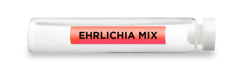 CellCore Biosciences - EHRLICHIA MIX -Vial