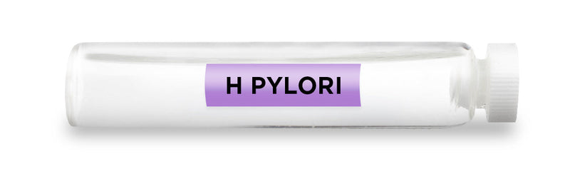 CellCore Biosciences - H. PYLORI -Vial