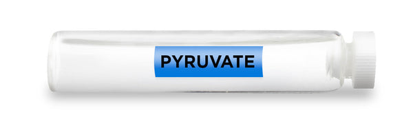 CellCore Biosciences - PYRUVATE -Vial
