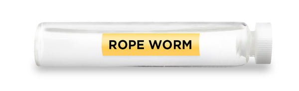 CellCore Biosciences - ROPE WORM -Vial