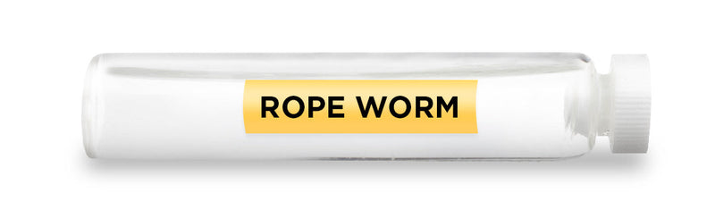 CellCore Biosciences - ROPE WORM -Vial