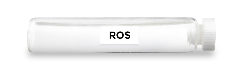 CellCore Biosciences - ROS -Vial