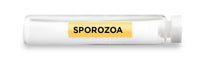 CellCore Biosciences - SPOROZOA -Vial