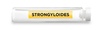 CellCore Biosciences - STRONGYLOIDES -Vial