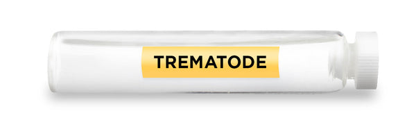 CellCore Biosciences - TREMATODE -Vial