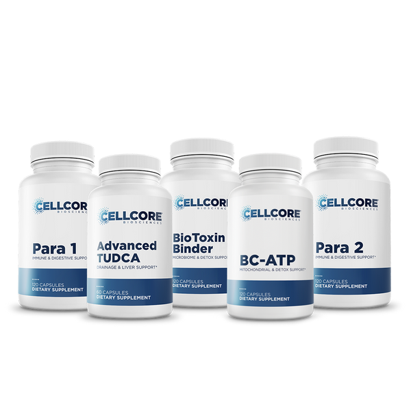 CellCore Biosciences - Phase 2: Gut & Immune Support