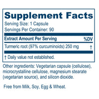 Ayush Herbs - Curcumin 97
