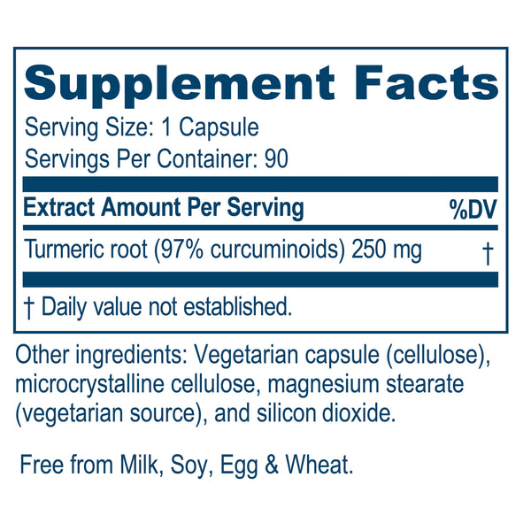 Ayush Herbs - Curcumin 97