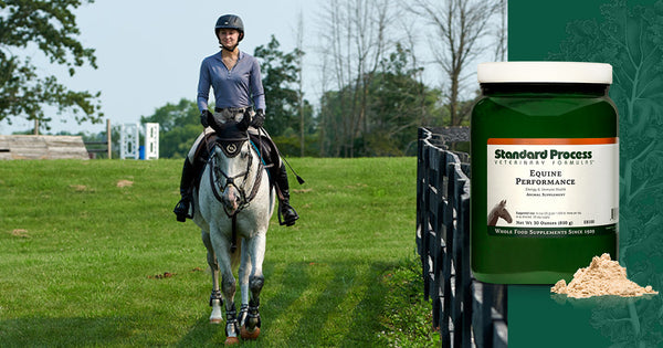 Standard Process - Equine Performance