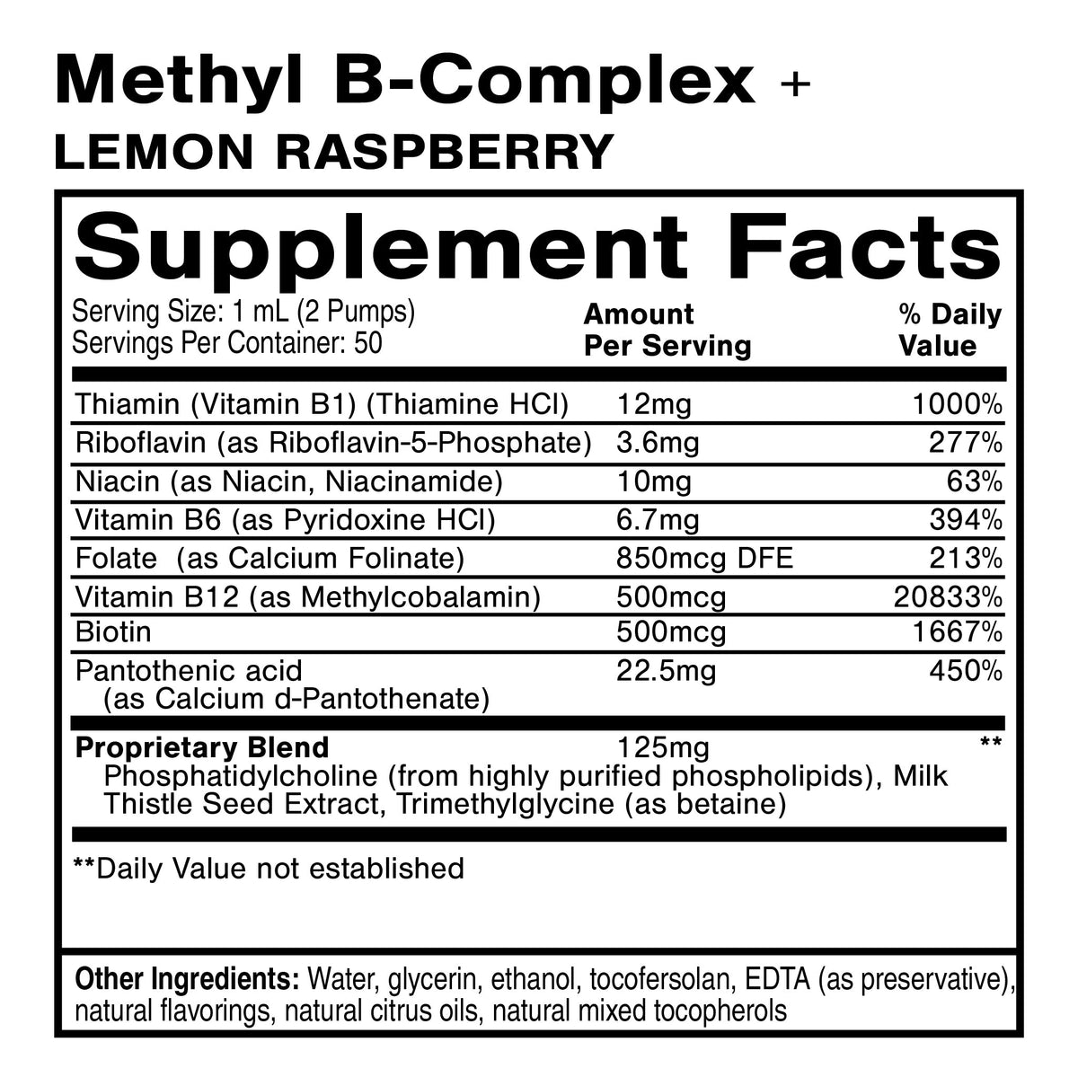 Quicksilver Scientific Liposomal Methyl B-Complex + Lemon Raspberry — view 2