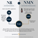 Quicksilver Scientific NAD+Gold — view 3 — view 3