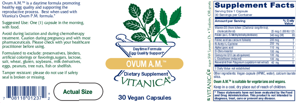 Vitanica Ovum AM — view 2