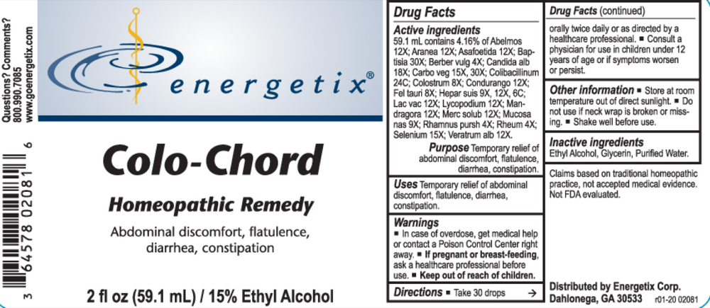 Energetix Colo-Chord — view 2