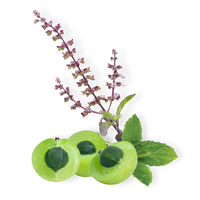Ayush Herbs - Flucomune