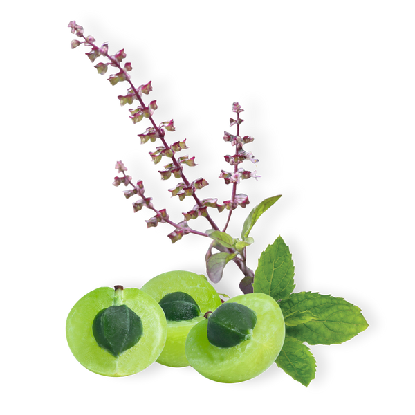 Ayush Herbs - Flucomune