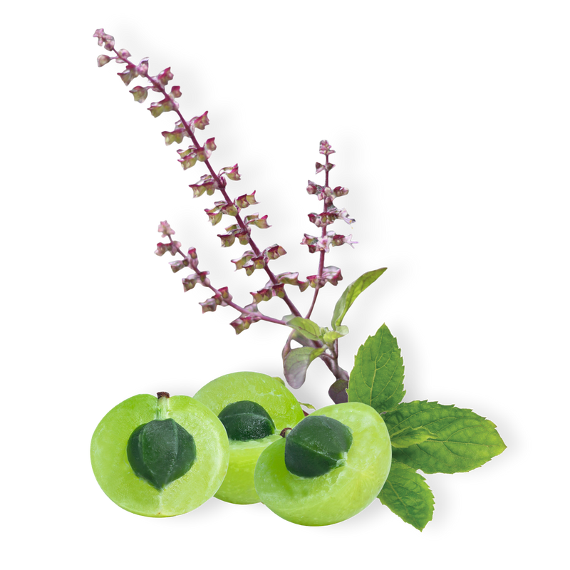 Ayush Herbs - Flucomune