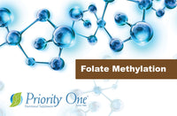 Priority One - Folate Methylation