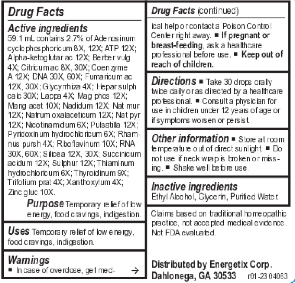 Energetix Metabopath — view 3