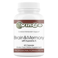 Vinco - Brain & Memory