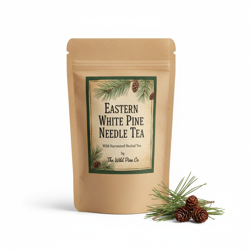 The Wild Pine Co - Eastern White Pine Needle Tea — The Wild Pine Co alternative compound